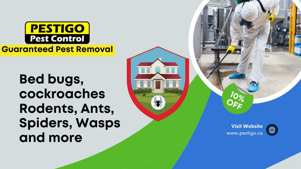 Cover photo of Pestigo Pest Control Scarborough
